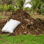 compost-bag-on-pile