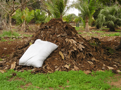 compost-bag-on-pile ערמת קומפוסט בתהליך