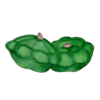 זרעי קישוא כוכב ירוק