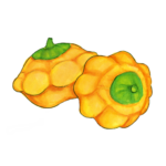 זרעי קישוא כוכב צהוב