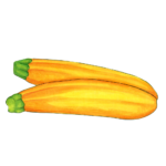זרעי קישוא צהוב