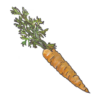 זרעי גזר ננטס מכלוא