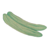 זרעי פקוס מלפפון ערבי
