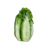 זרעי כרוב סיני צ'ינקול