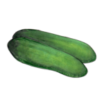 זרעי מלפפון בייבי