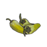 זרעי פלפל חריף שיפקה