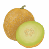 מלון ירוק בלי רקע