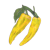 פלפל שושקה צהוב