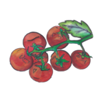 שרי גדול 2